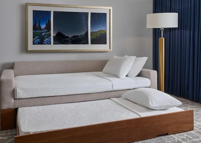Springhill Suites By Marriott Denver Downtown